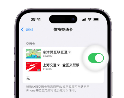 迁安apple维修点分享iPhone上更换Apple Pay快捷交通卡手绘卡面 