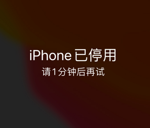 迁安苹果手机维修分享:iPhone 显示“不可用”或“已停用”怎么办？还能保留数据吗？ 