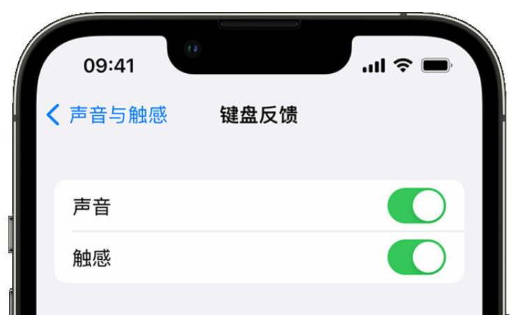 迁安苹果手机维修分享iPhone 14触感键盘使用方法 