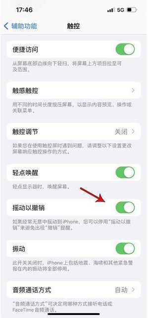 迁安苹果手机维修分享iPhone手机如何设置摇一摇删除文字 