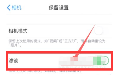 迁安苹果13维修分享iPhone13拍照有绿点是怎么回事 