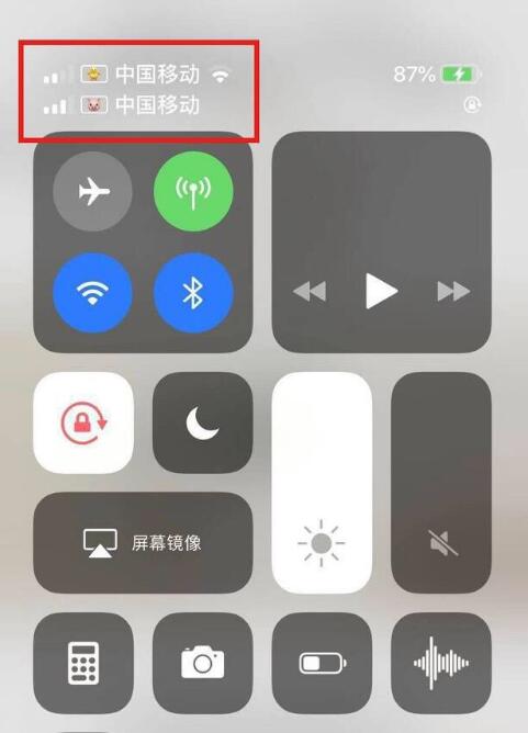 迁安苹果手机维修分享为 iPhone 12 双卡设置标签 